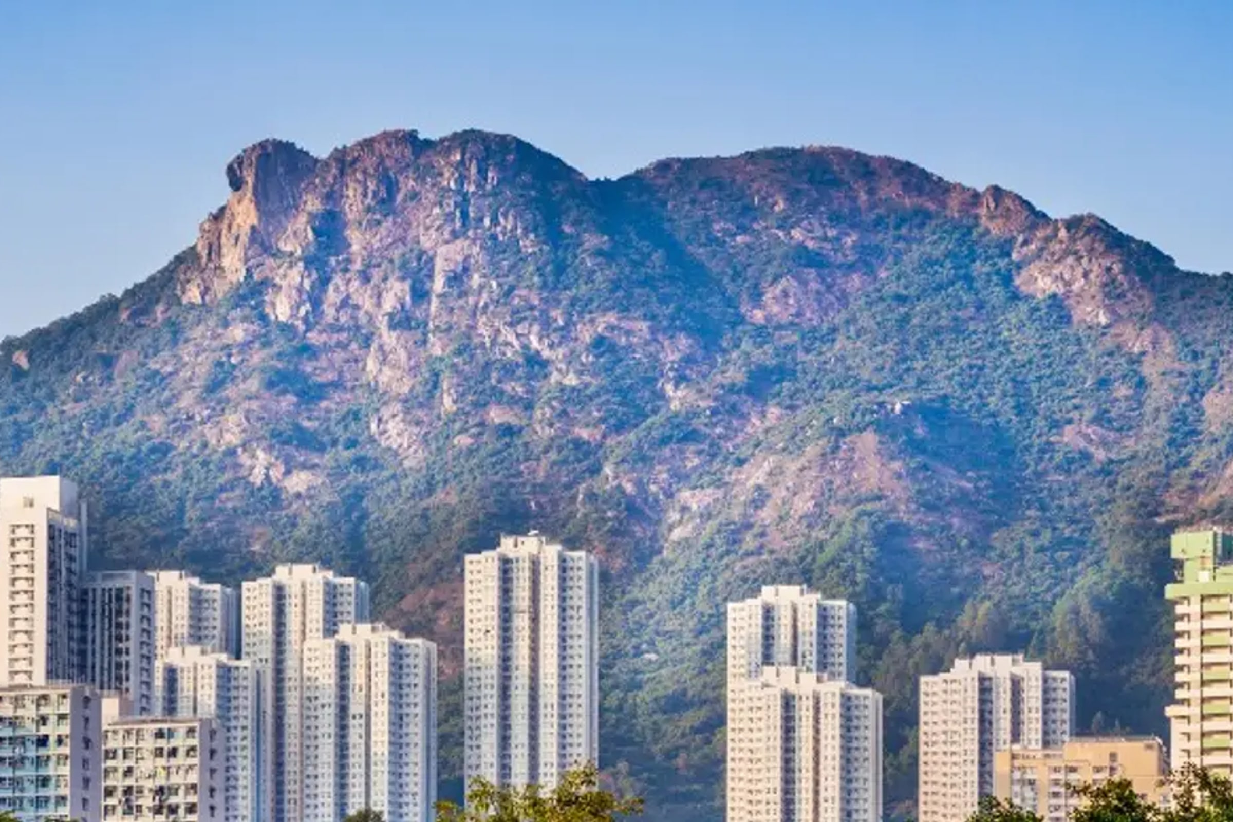 Private Half Day Tour: The Spirit of Lion Rock Hong Kong